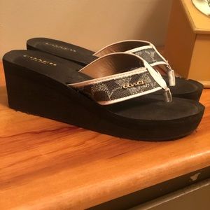 Coach foam wedges